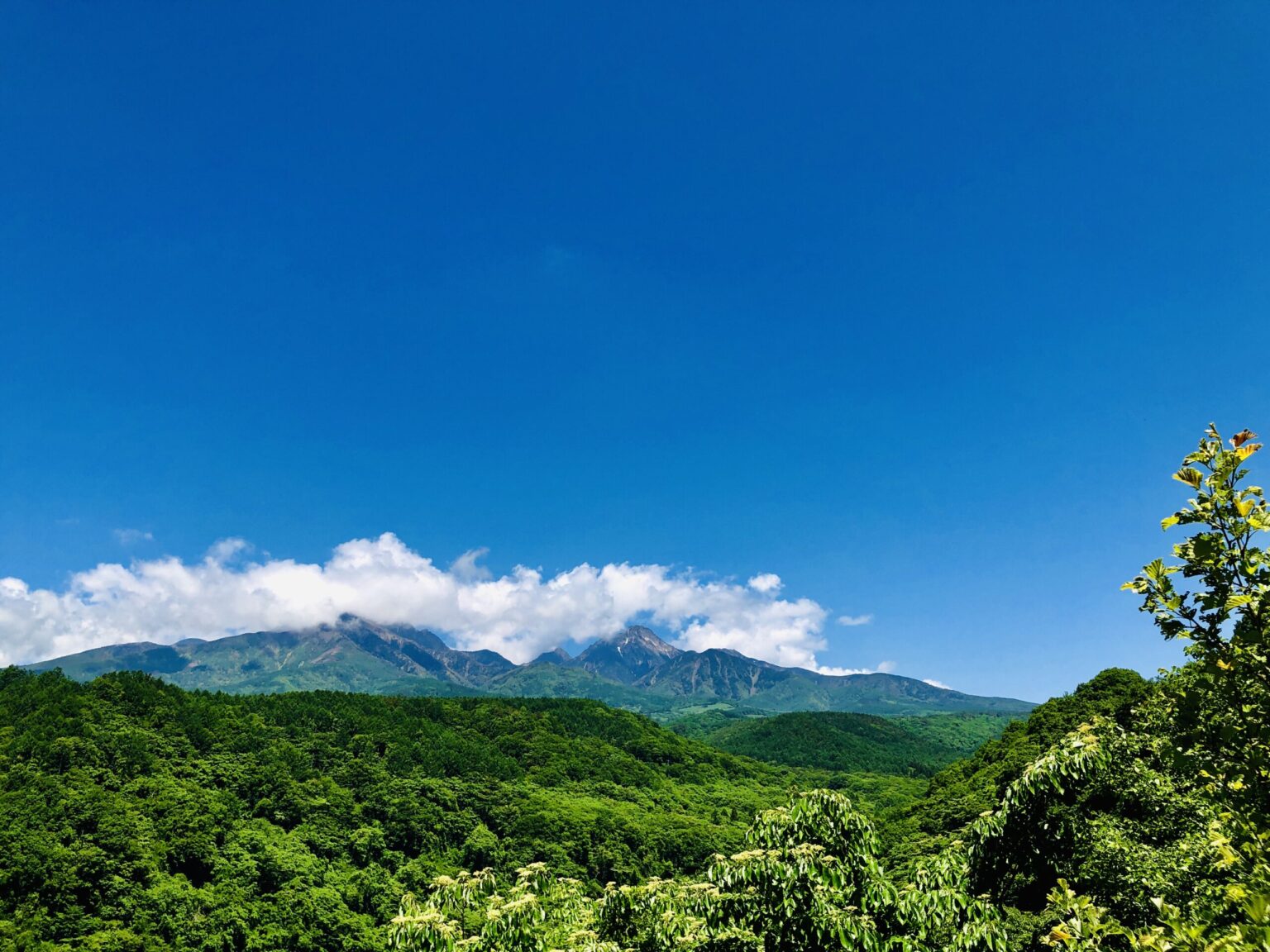八ヶ岳と、緑の森