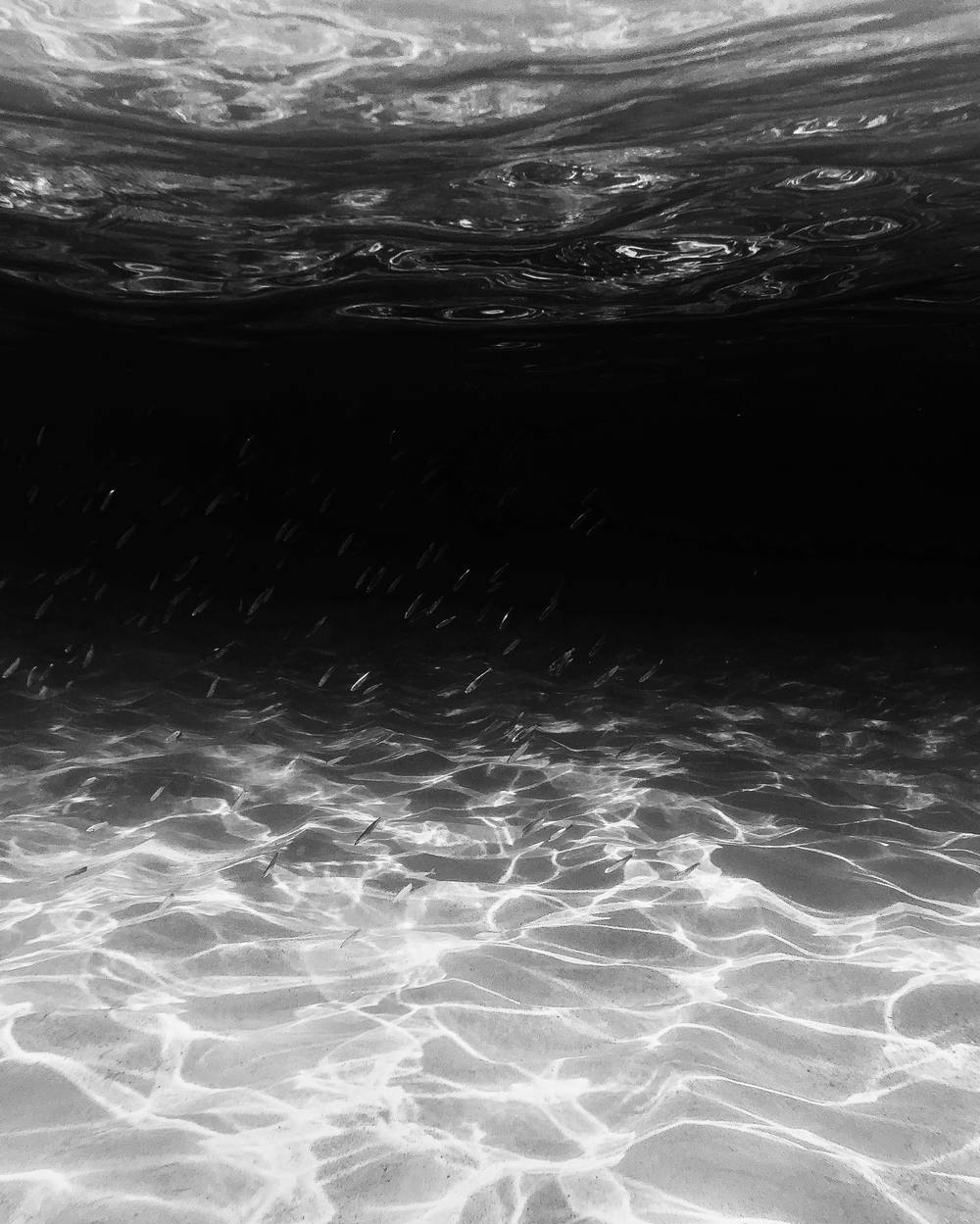 水面を下から見上げた光